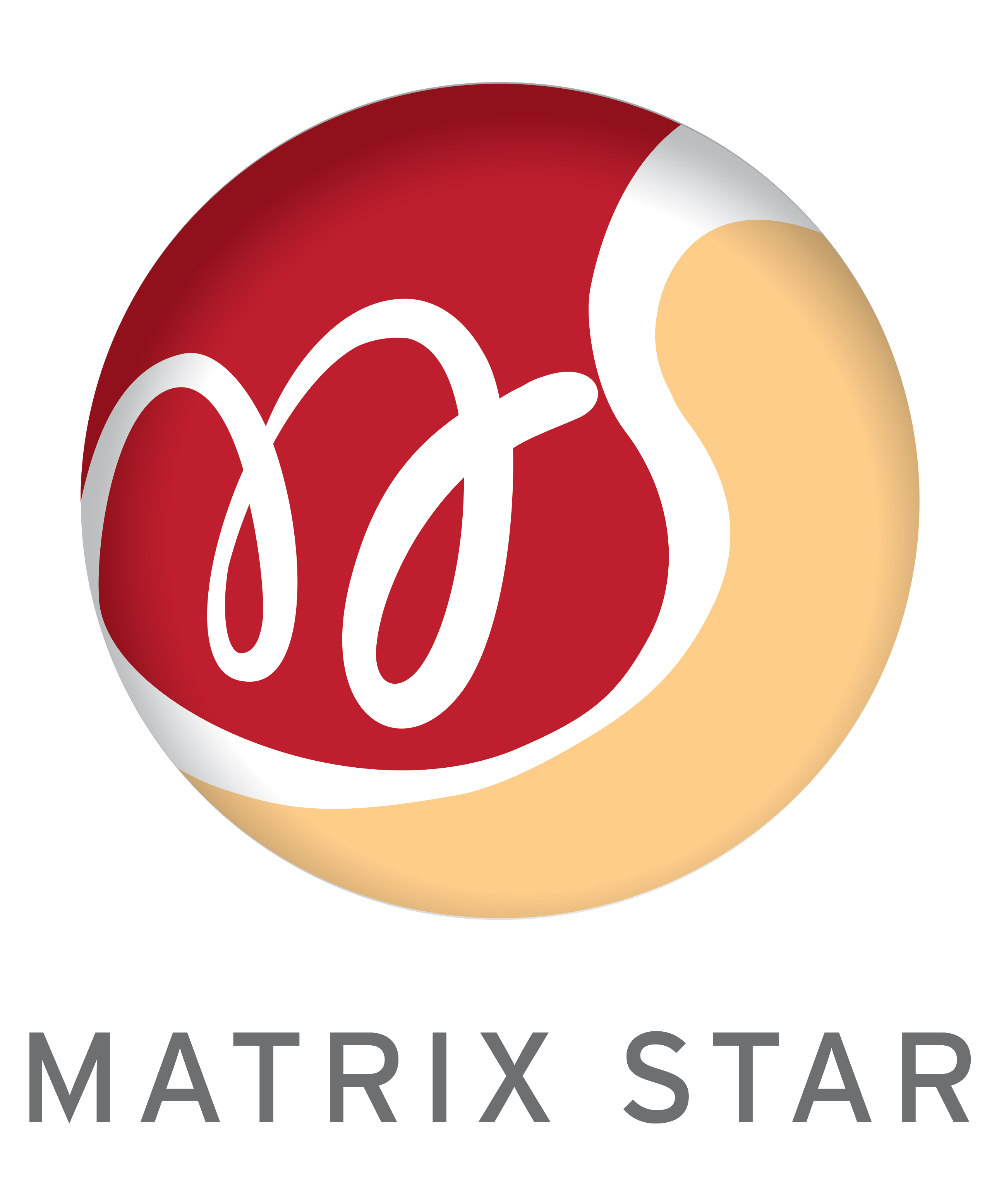 Matrix Star Logo