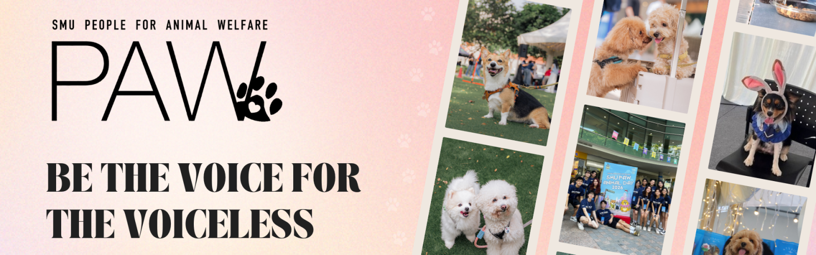 SMU PAW banner