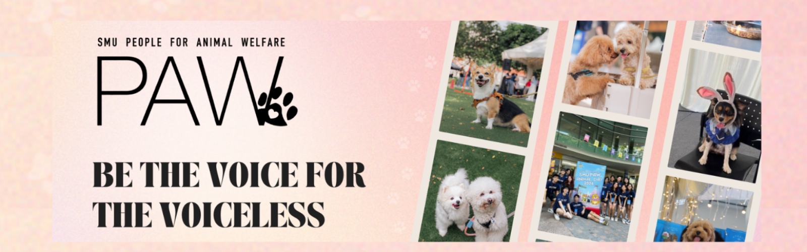 SMU PAW banner