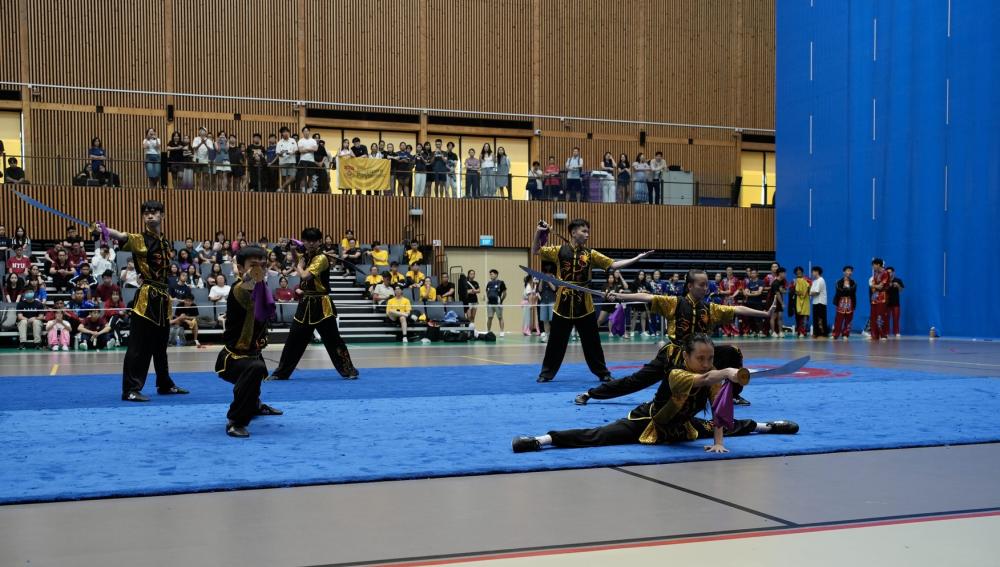 SMU Wushu