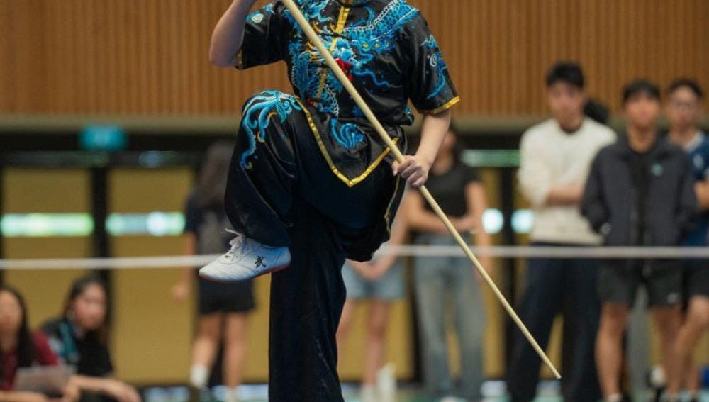 SMU Wushu