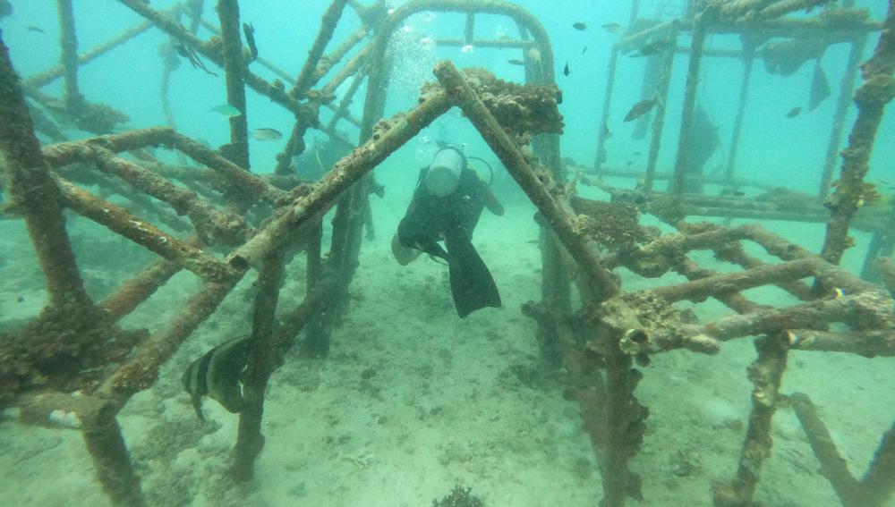 SMUX Diving
