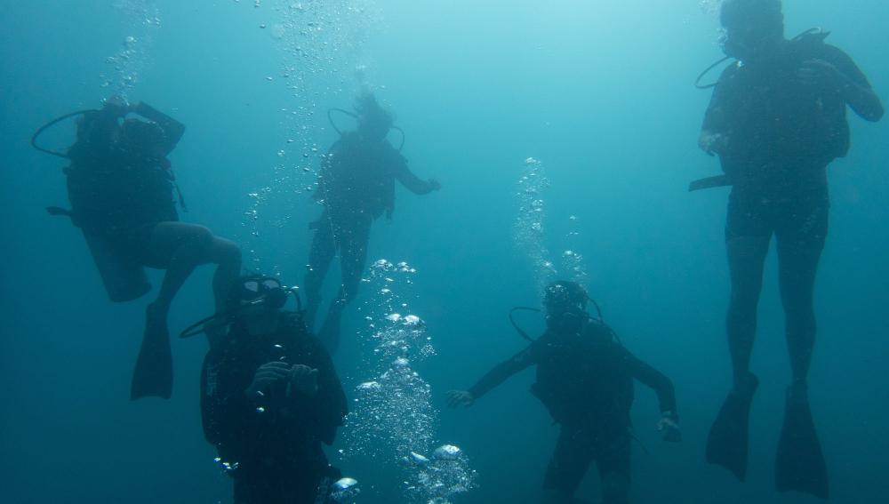 SMUX Diving