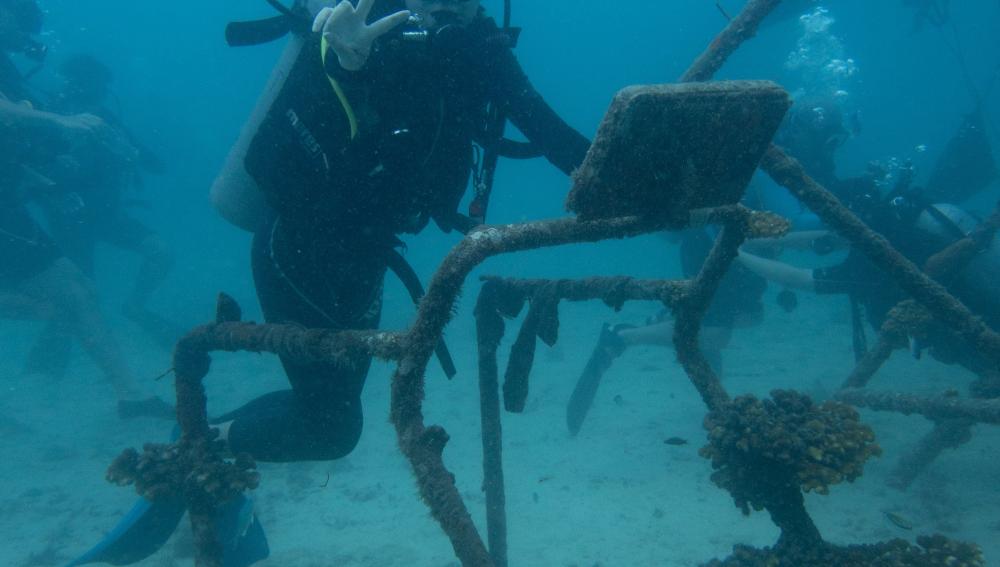 SMUX Diving