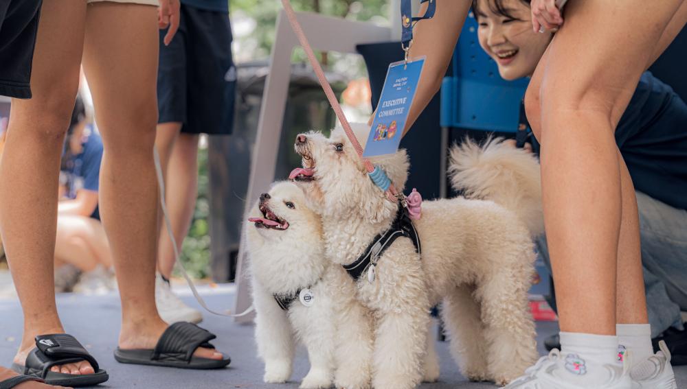 SMU People for Animal Welfare 