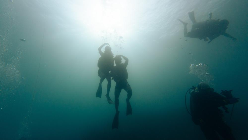 SMUX Diving
