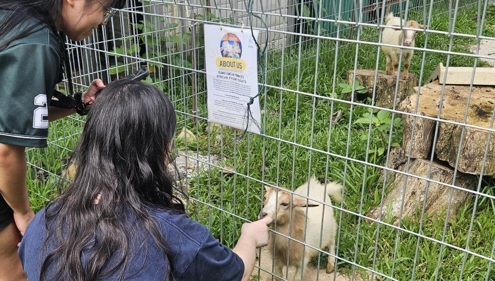 SMU People for Animal Welfare 